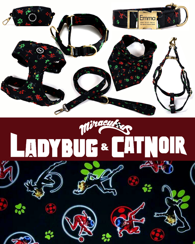 Miraculous Ladybug and Cat Noir