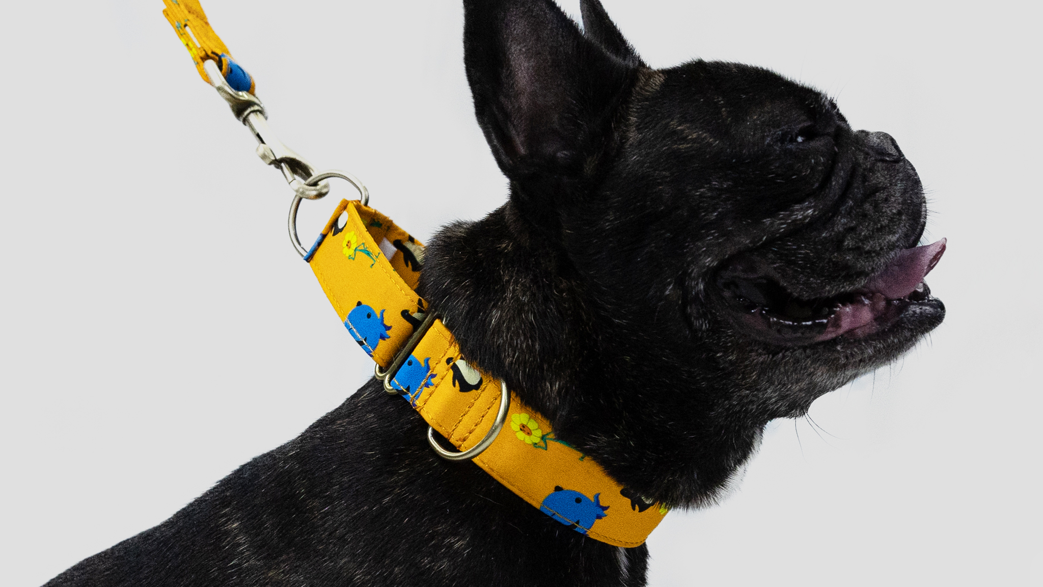 Martingale Dog Collars For Comfort - Angieandallie