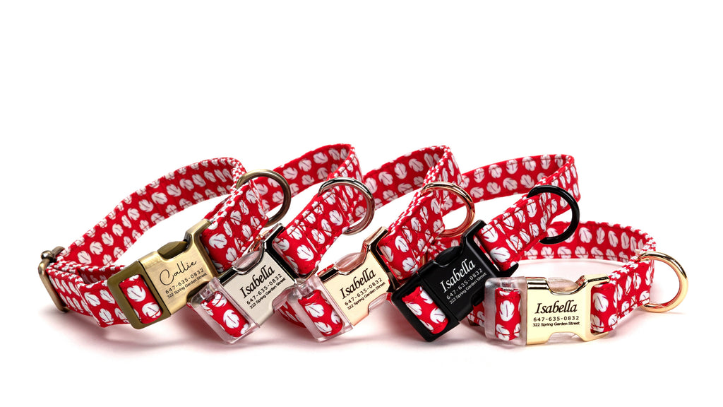 Personalized Dog Collars