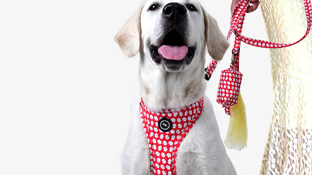 Lilo Stitch Lilo Hawaiian Dress