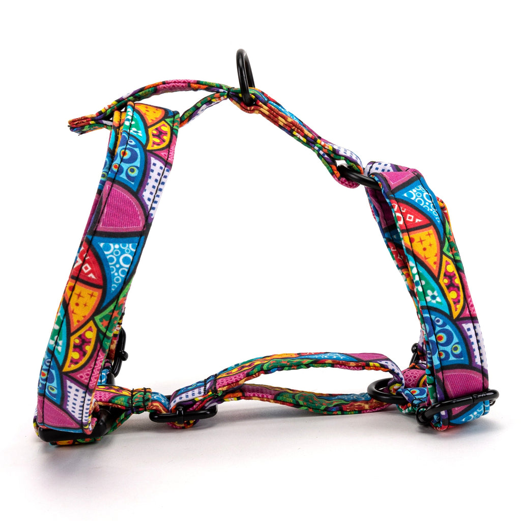 NO-PULL HARNESS