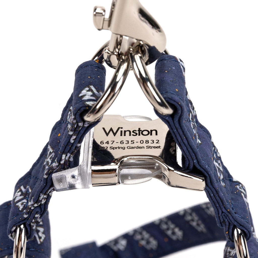 STEP-IN HARNESS
