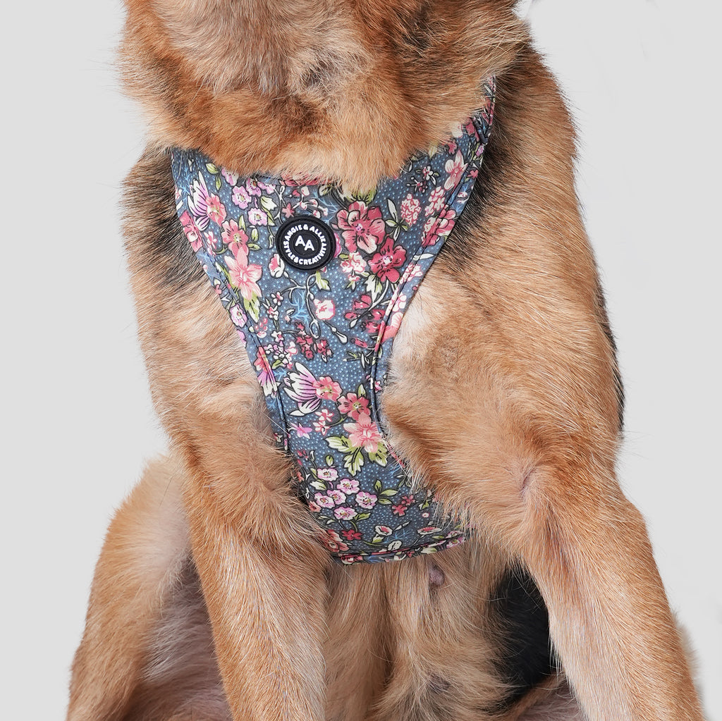 Dog wears 100% Cotton Adjustable No Pull Dog Harness Brass Bouquet Grey front
