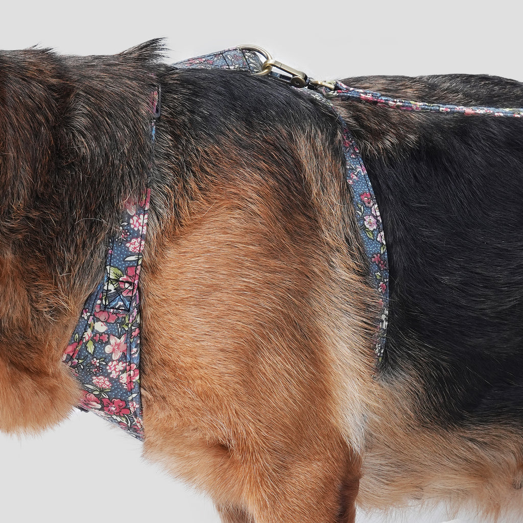 Dog wears 100% Cotton Adjustable No Pull Dog Harness Brass Bouquet Grey side