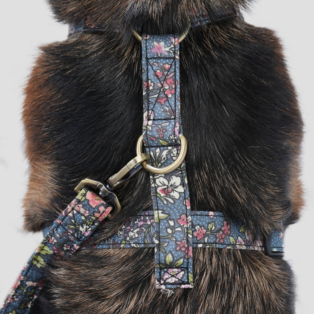 Dog wears 100% Cotton Adjustable No Pull Dog Harness Brass Bouquet Grey back