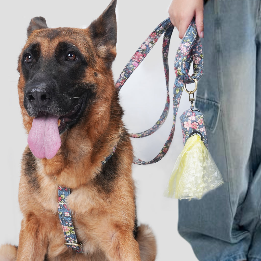 Dog wears 100% Cotton Adjustable No Pull Dog Harness Bouquet Grey and poop bag