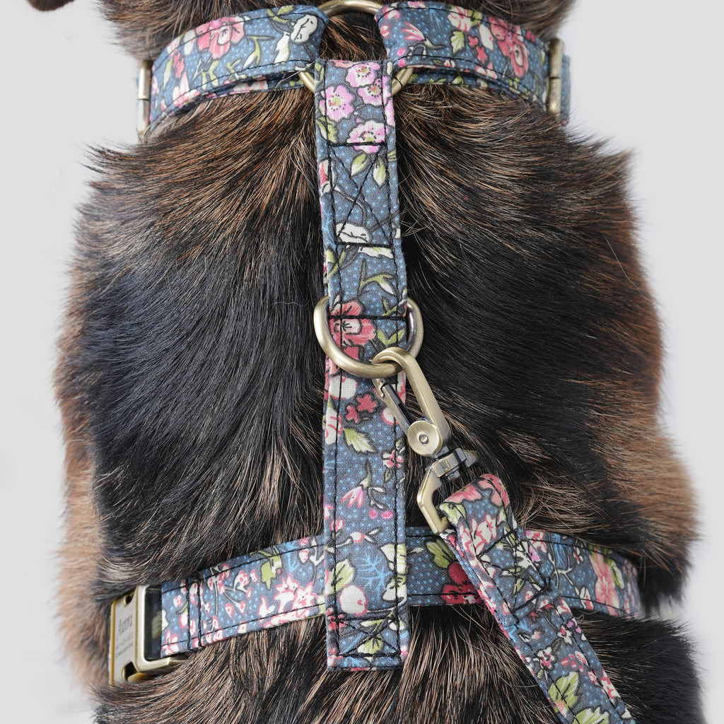 Dog wears 100% Cotton Adjustable No Pull Dog Harness Bouquet Grey back