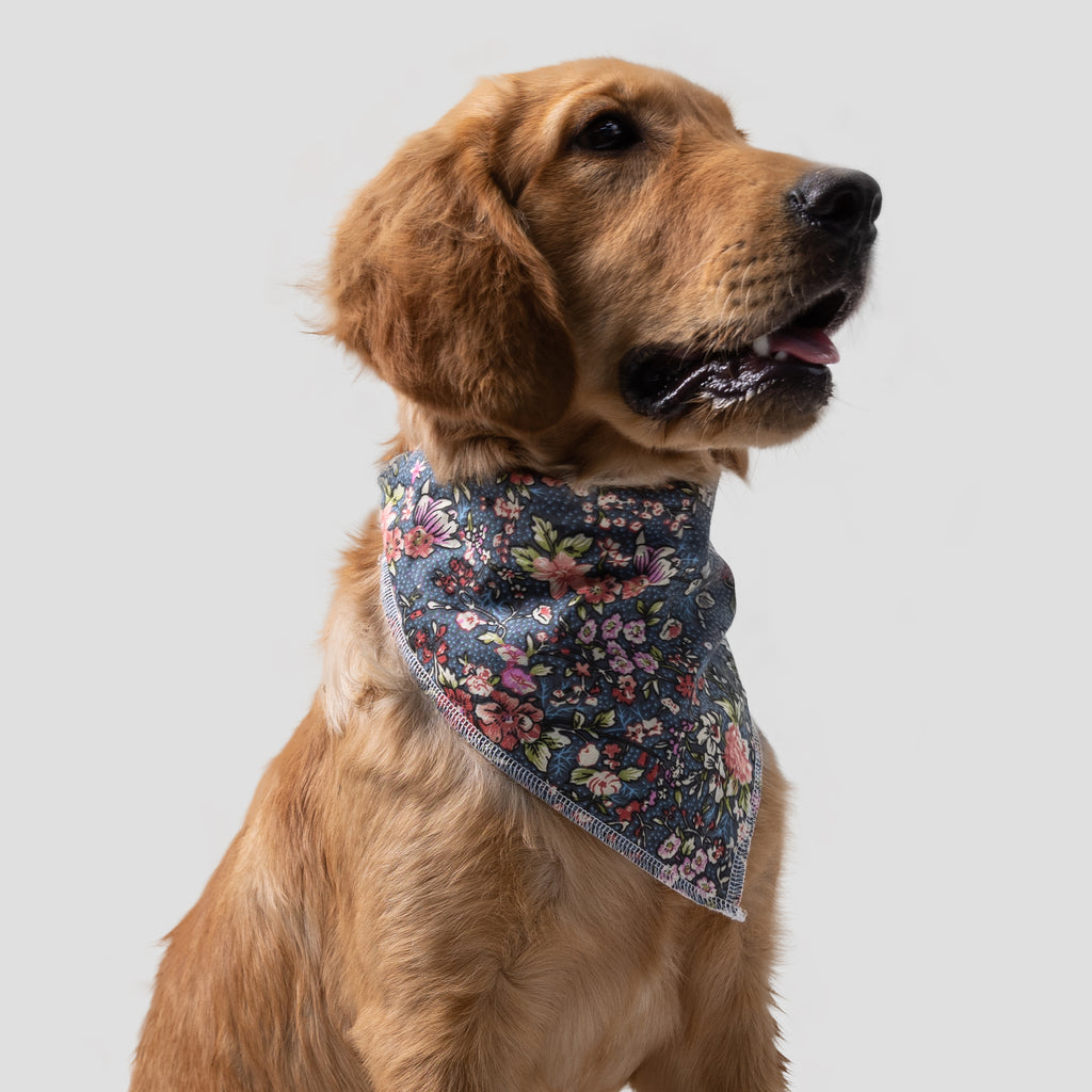 Dog is showing the side of a bouquet grey bandana on a light gray background