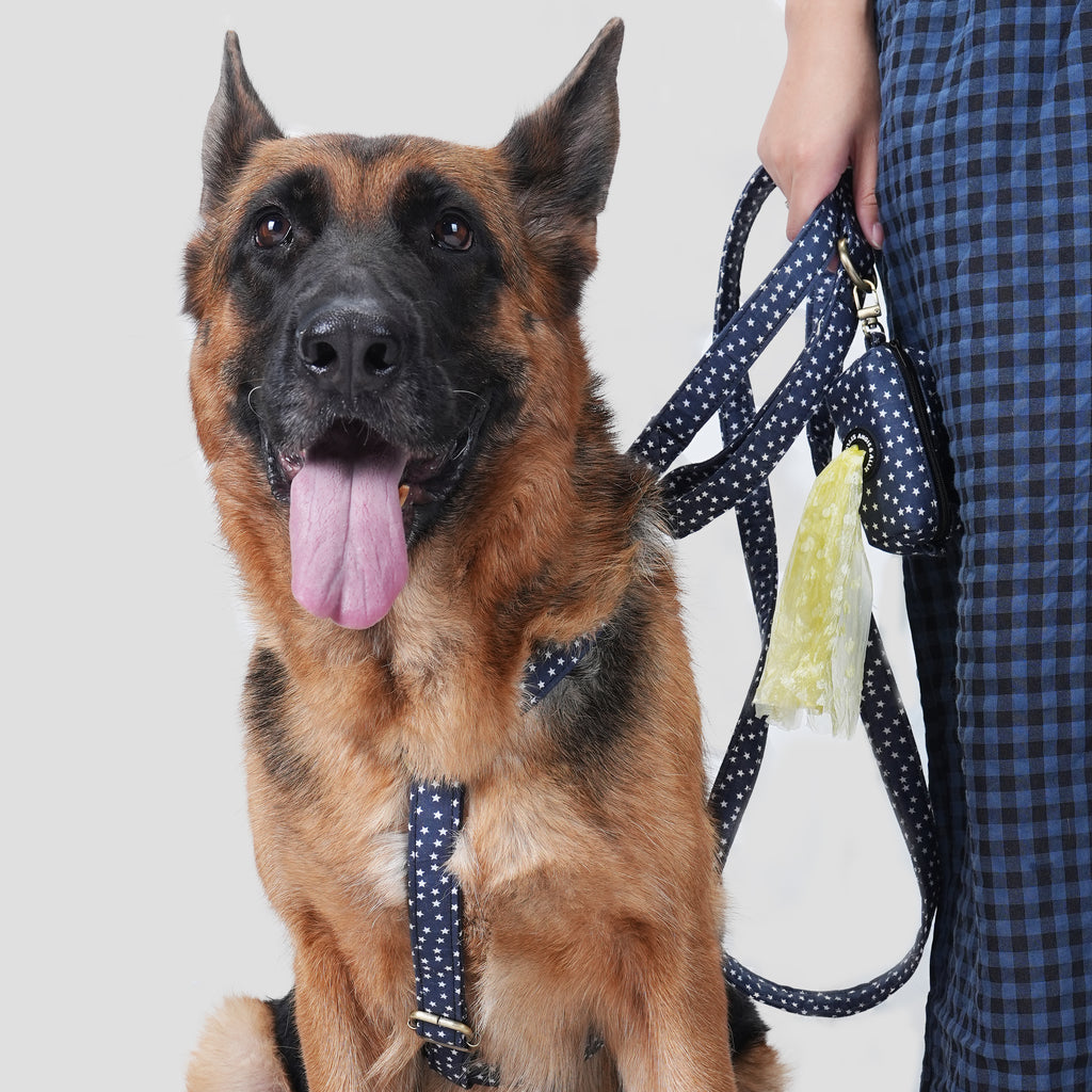 Dog wears 100% Cotton Adjustable No Pull Dog Harness Stars front