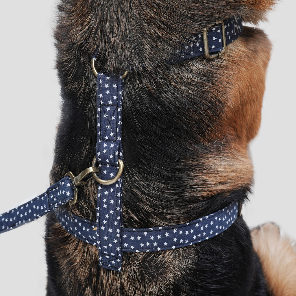 Dog wears 100% Cotton Adjustable No Pull Dog Harness Stars back