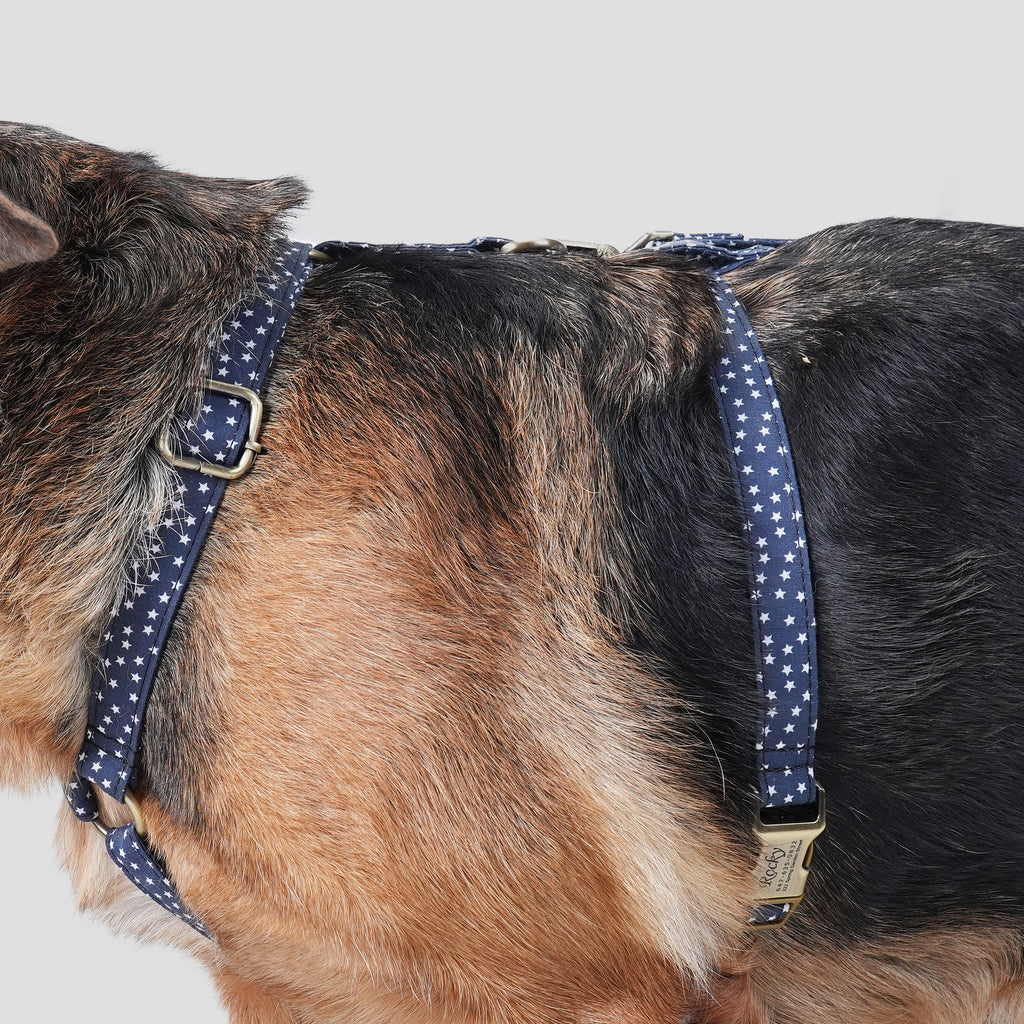 Dog wears 100% Cotton Adjustable No Pull Dog Harness Stars side