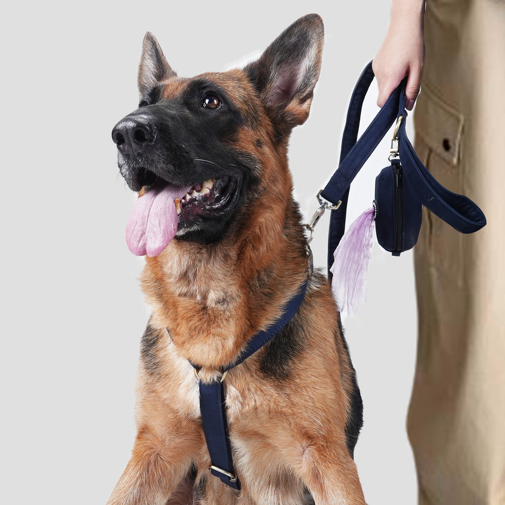 Dog wears 100% Cotton Adjustable No Pull Dog Harness Navy front