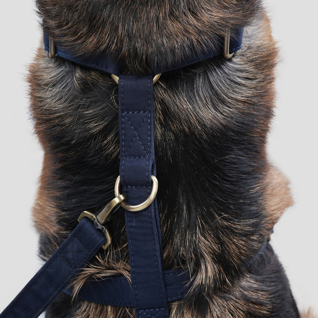 Dog wears 100% Cotton Adjustable No Pull Dog Harness Navy back