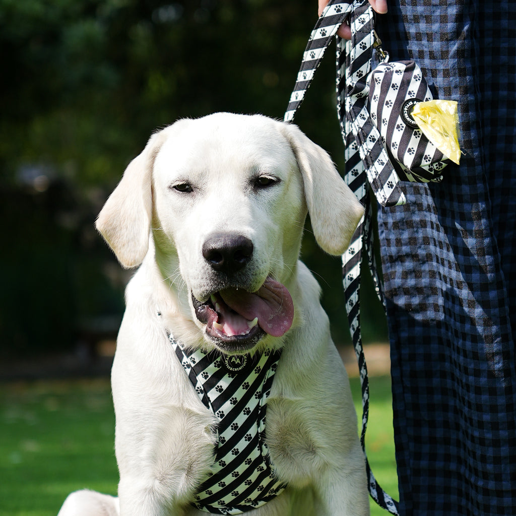 Dog wears 100% Cotton Adjustable No Pull Dog Harness Puppy Paws with poop bag