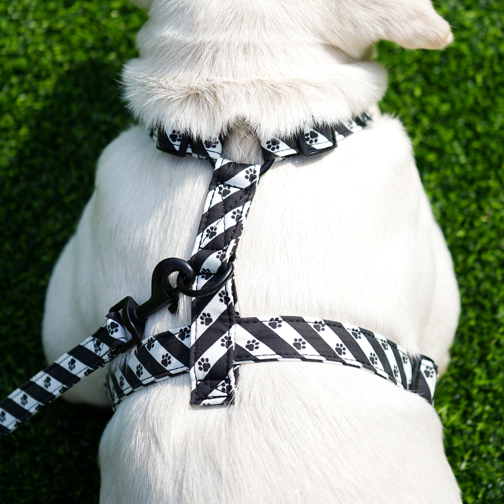 Dog wears 100% Cotton Adjustable No Pull Dog Harness Puppy Paws back