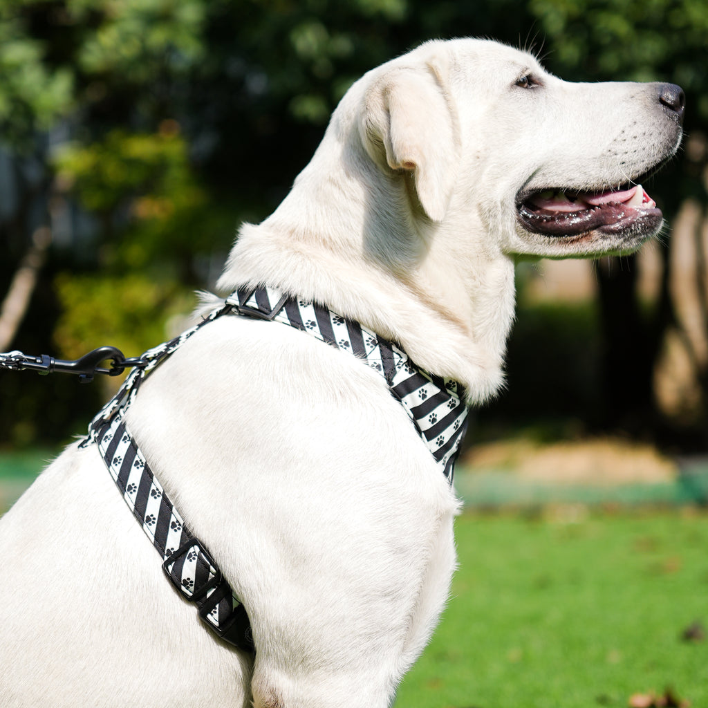 Dog wears 100% Cotton Adjustable No Pull Dog Harness Puppy Paws side