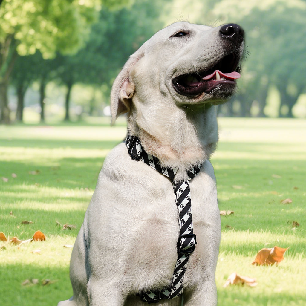 Dog wears 100% Cotton Adjustable No Pull Dog Harness   Puppy Paws front