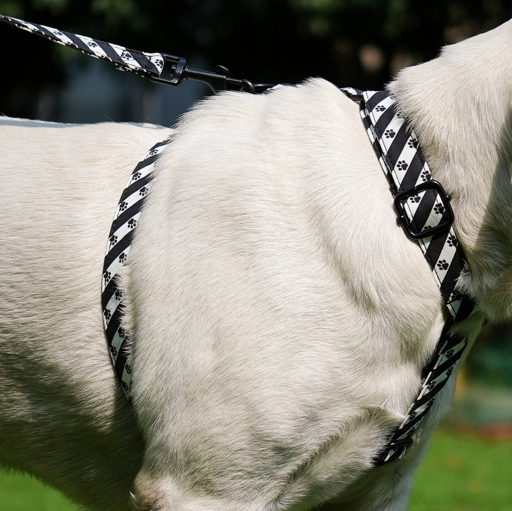 Dog wears 100% Cotton Adjustable No Pull Dog Harness   Puppy Paws side
