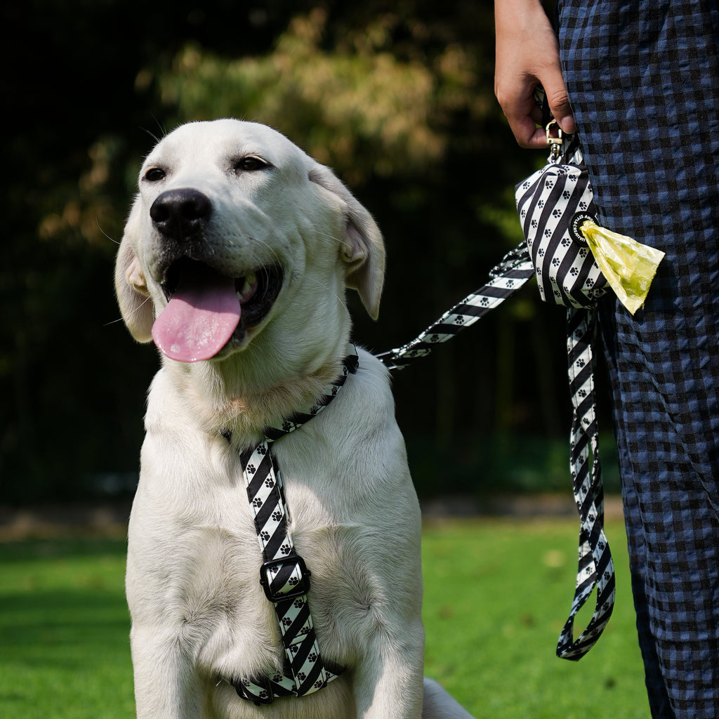 Dog wears 100% Cotton Adjustable No Pull Dog Harness   Puppy Paws with poop bag