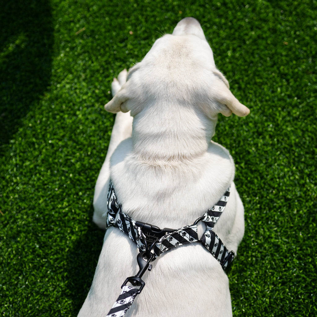 Dog 100% Cotton Adjustable Step In Dog Harness Black Puppy Paws back