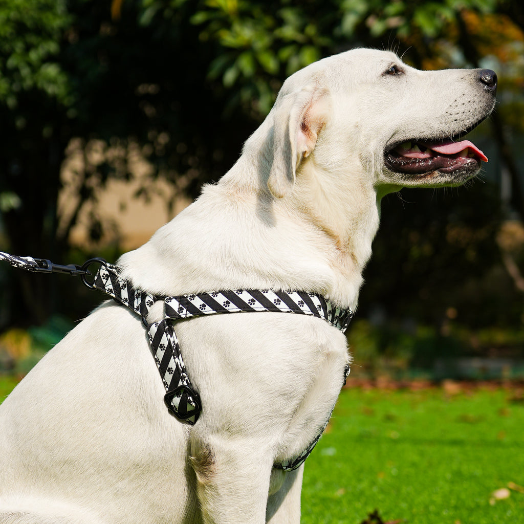 Dog 100% Cotton Adjustable Step In Dog Harness Black Puppy Paws side