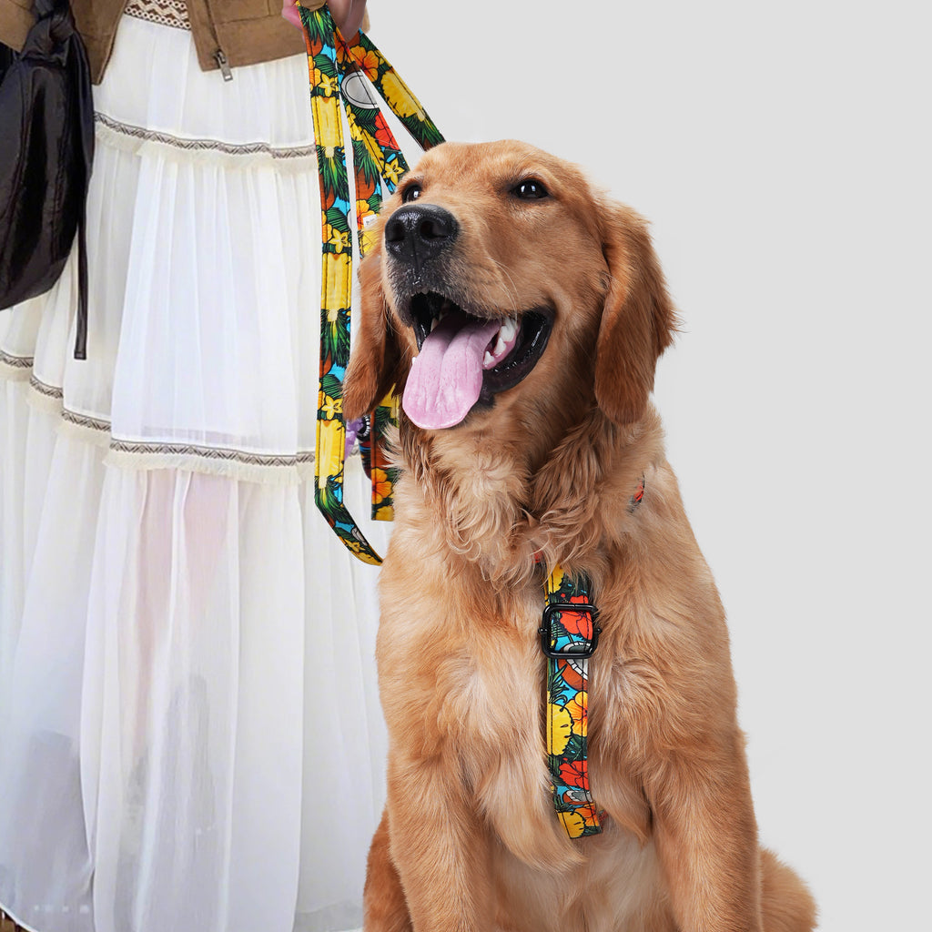Dog wears 100% Cotton Adjustable No Pull Dog Harness Coconuts with poop bag