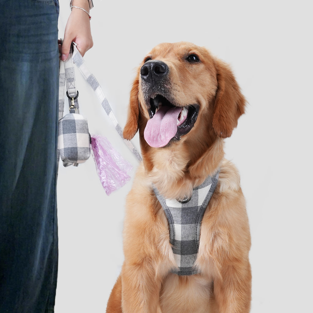 Dog wears 100% Cotton Adjustable No Pull Dog Harness Plaid Grey with poop bag