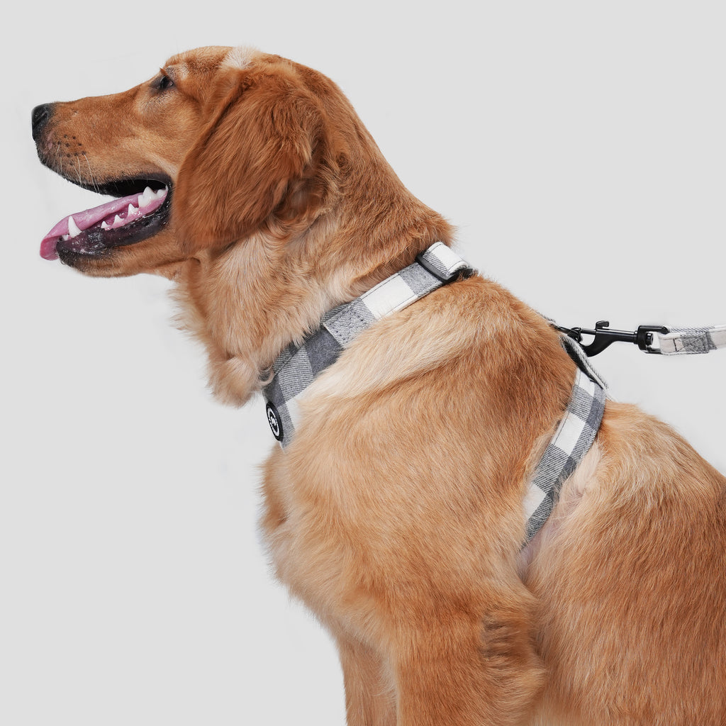 Dog wears 100% Cotton Adjustable No Pull Dog Harness Plaid Grey side