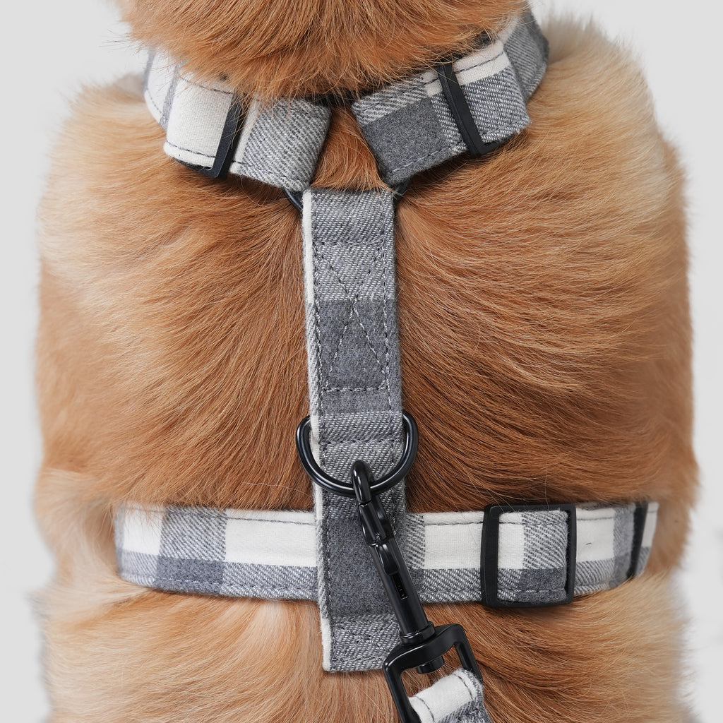 Dog wears 100% Cotton Adjustable No Pull Dog Harness Plaid Grey back