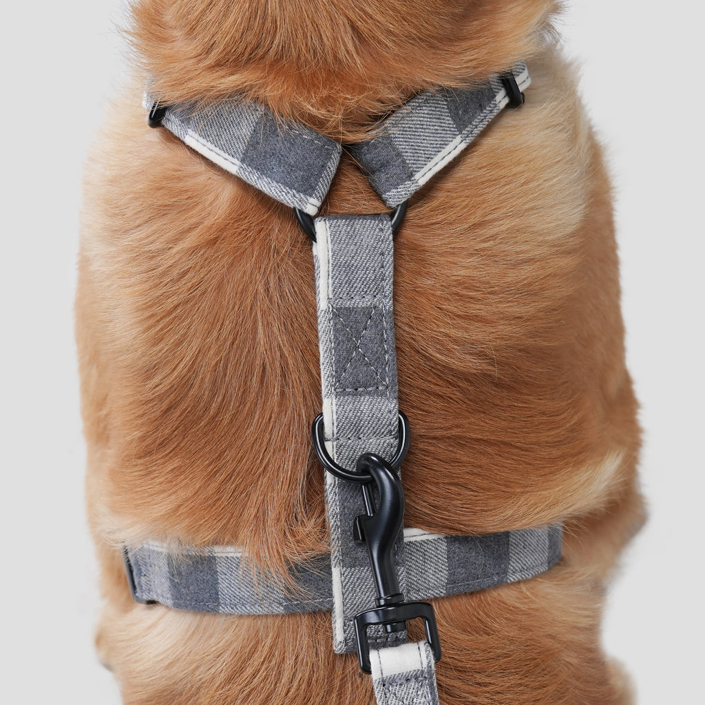 Dog wears 100% Cotton Adjustable No Pull Dog Harness Plaid Grey back