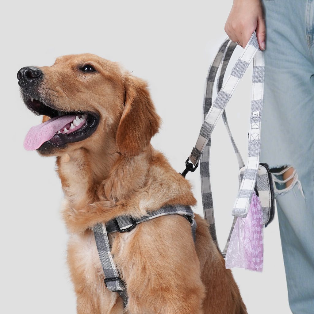 Dog wears 100% Cotton Adjustable Step In Dog Harness Black  Plaid Grey with poop bag