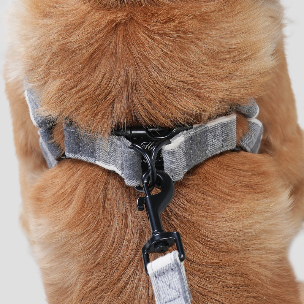 Dog wears 100% Cotton Adjustable Step In Dog Harness Black  Plaid Grey back