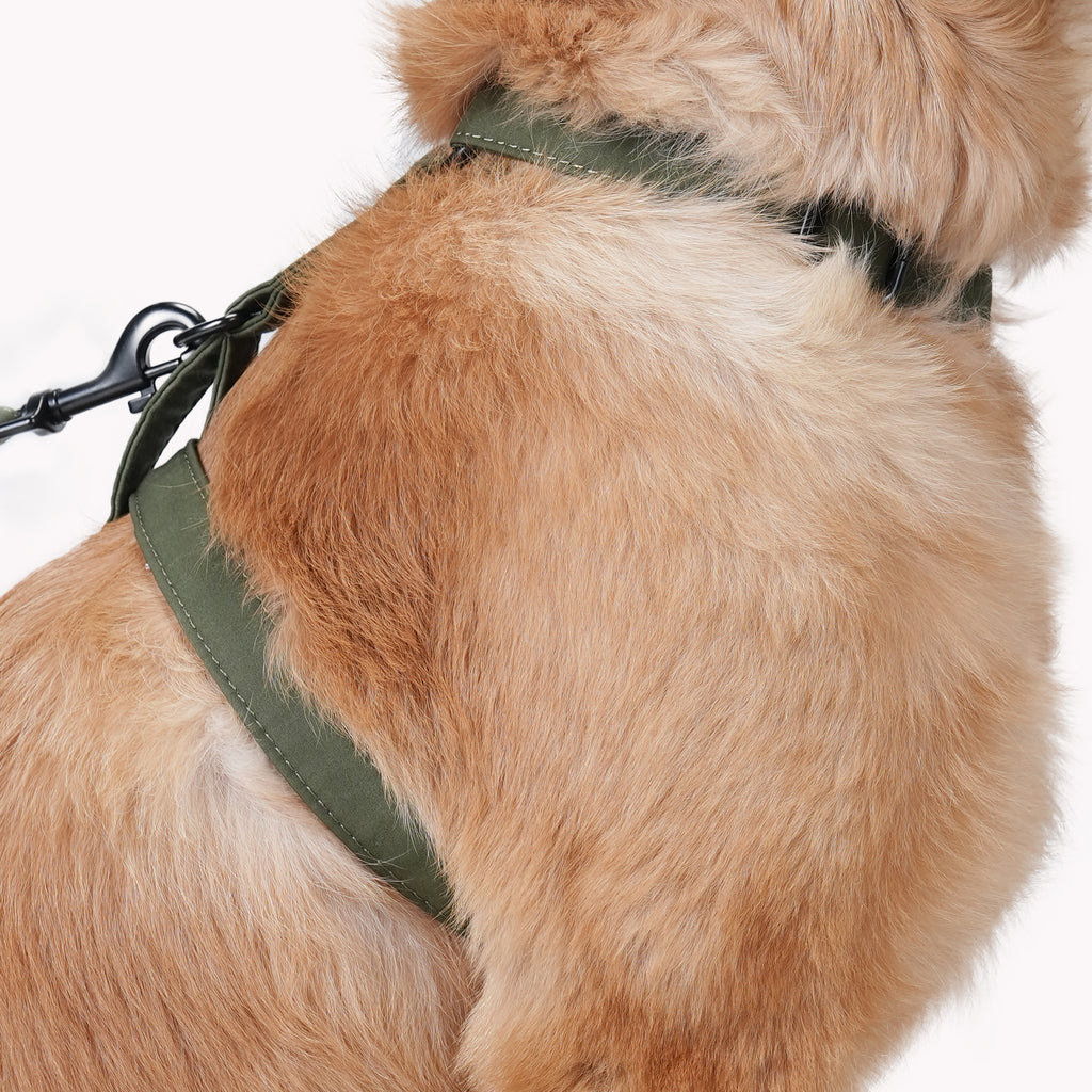 Dog wears 100% Cotton Adjustable No Pull Dog Harness  Military Green side