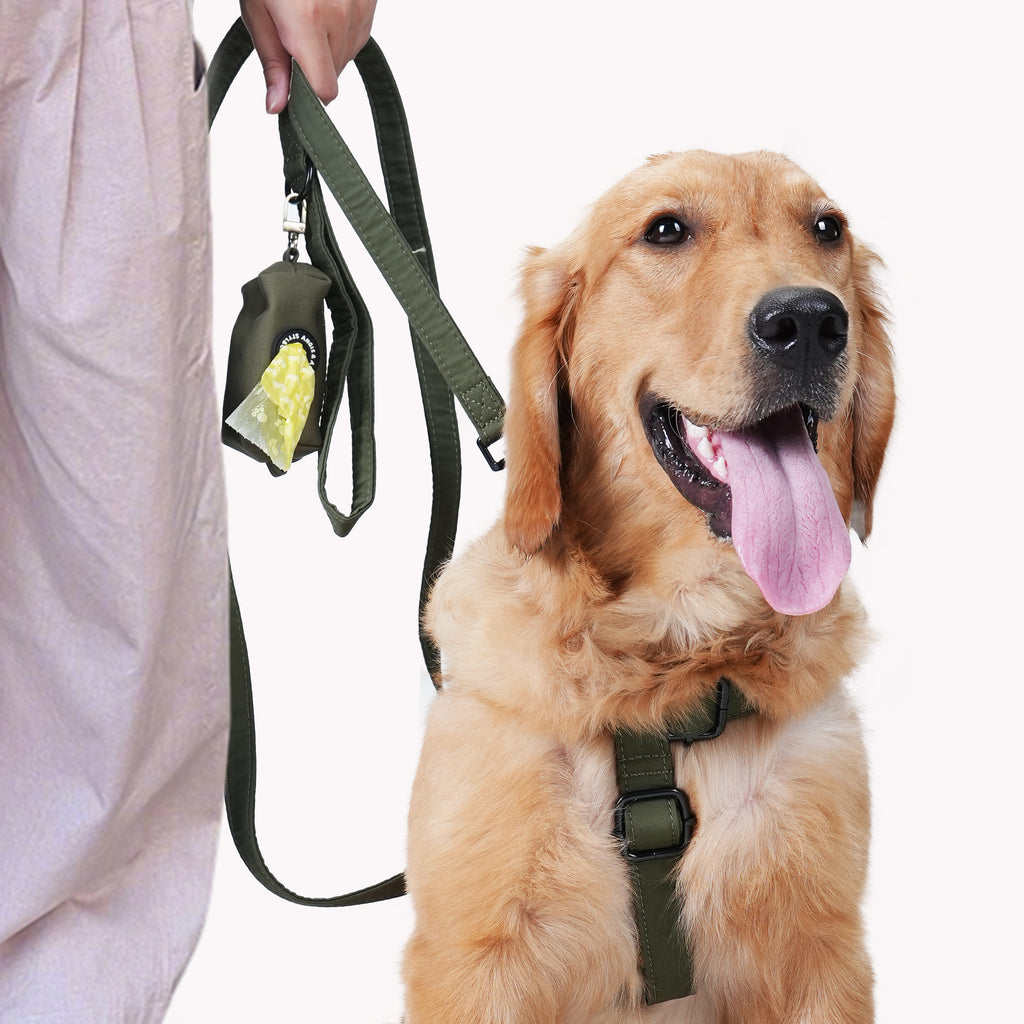 Dog wears 100% Cotton Adjustable Step In Dog Harness Black  Military Green wirh poop bag