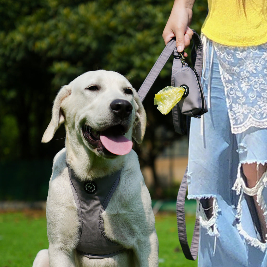 Dog wears 100% Cotton Adjustable No Pull Dog Harness Light Grey with poop bag