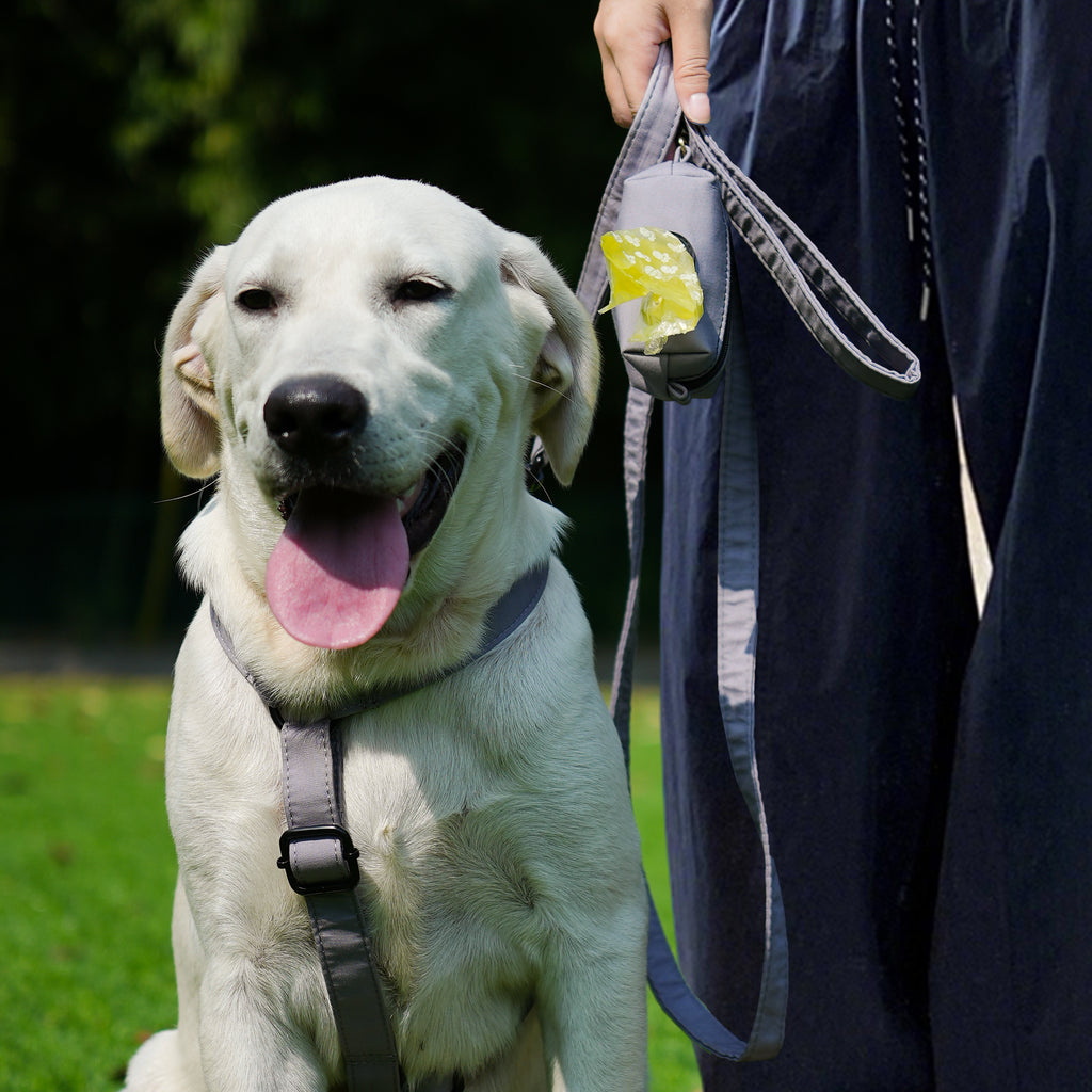 Dog wears 100% Cotton Adjustable No Pull Dog Harness Light Grey with poop bag
