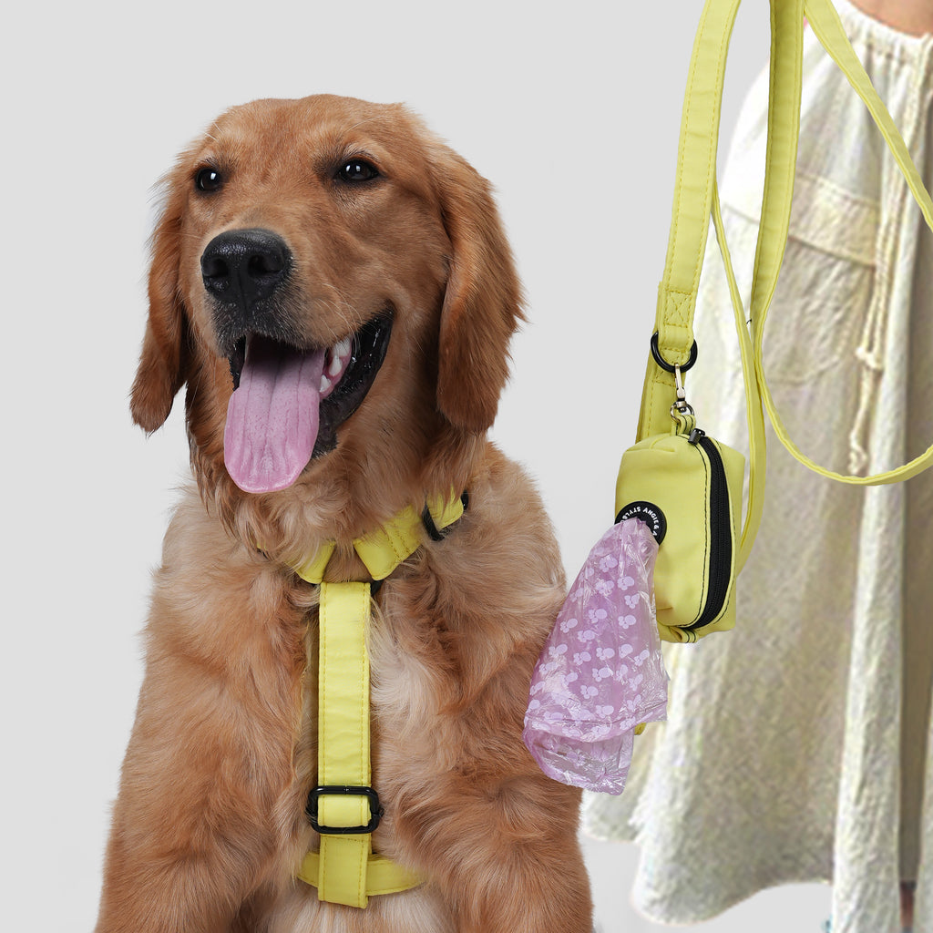 Dog wears 100% Cotton Adjustable No Pull Dog Harness Lemon front-1