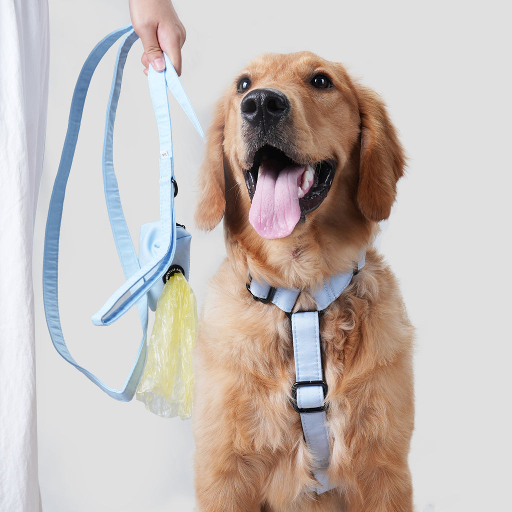 Dog wears 100% Cotton Adjustable No Pull Dog Harness Blue front-1