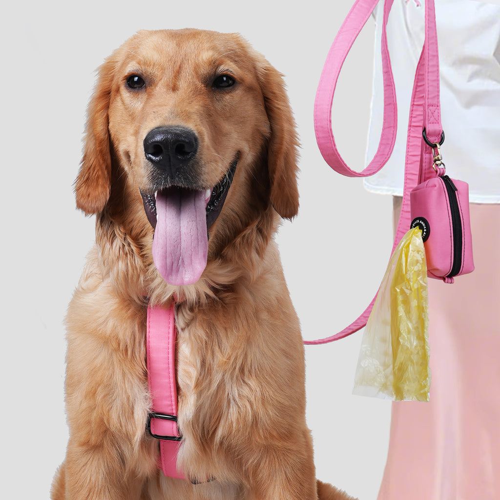 Dog wears 100% Cotton Adjustable No Pull Dog Harness Coral  front-1