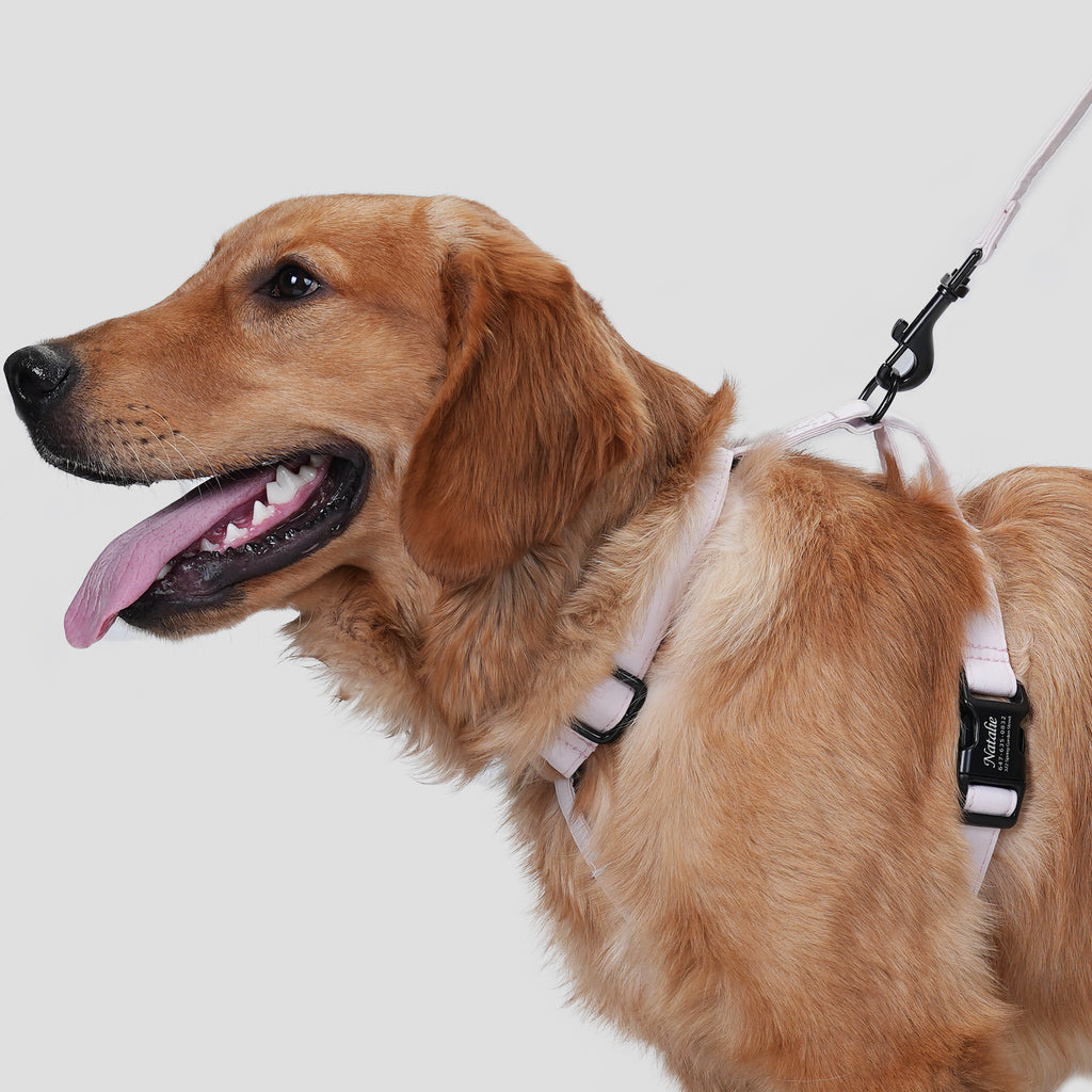 Dog wears 100% Cotton Adjustable No Pull Dog Harness Pink side