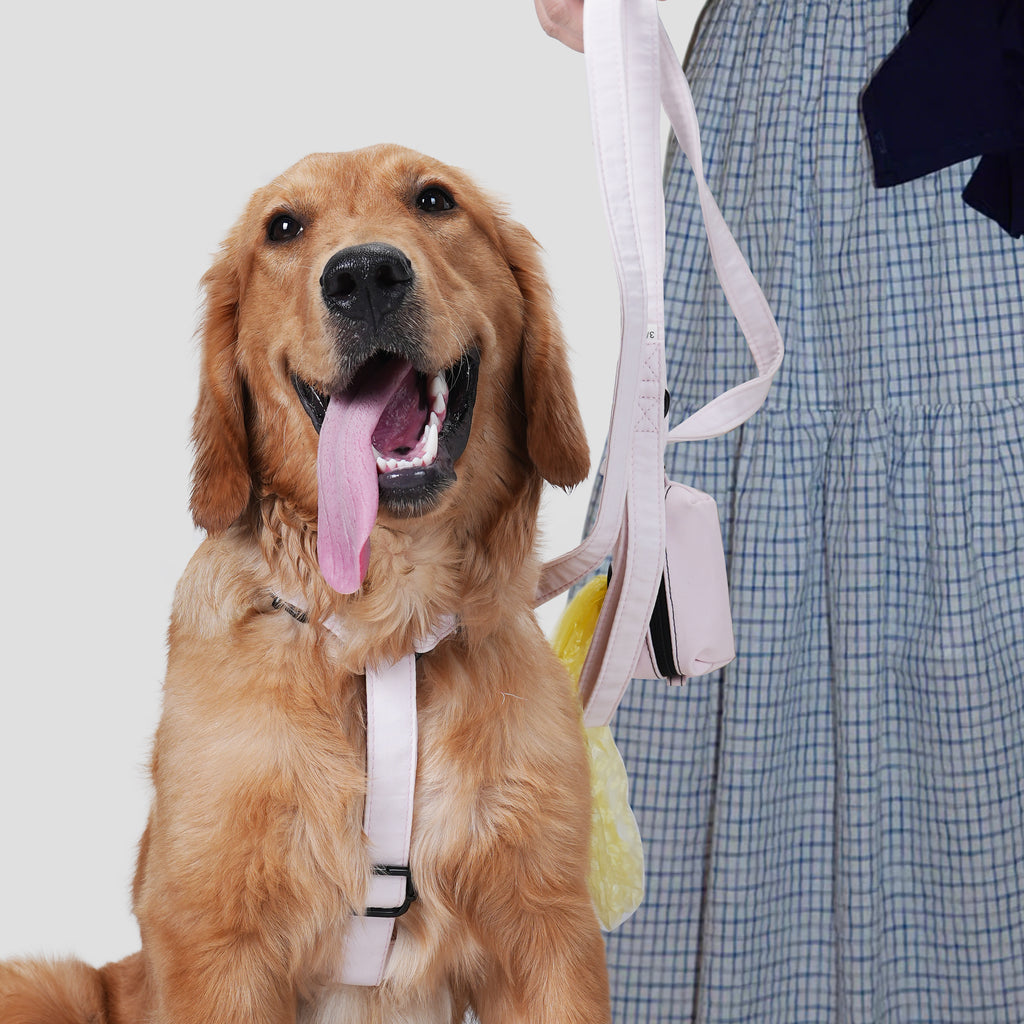 Dog wears 100% Cotton Adjustable No Pull Dog Harness Pink front-1