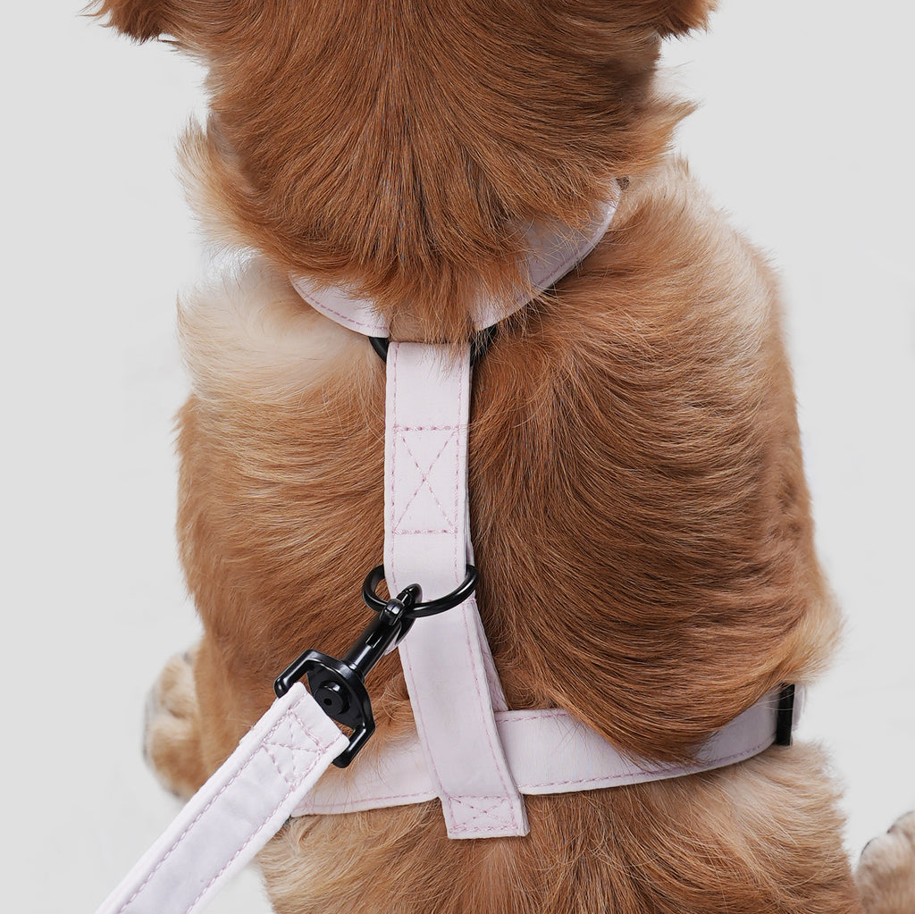 Dog wears 100% Cotton Adjustable No Pull Dog Harness Pink back