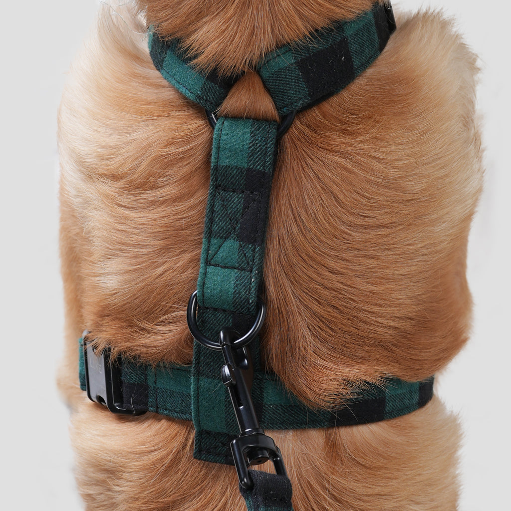 Dog wears 100% Cotton Adjustable No Pull Dog Harness Plaid Green back