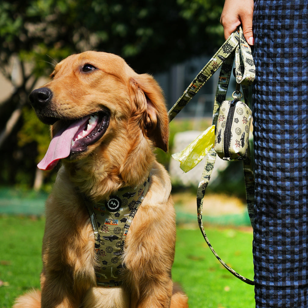 Dog wears 100% Cotton Adjustable No Pull Dog Harness Supernatura  front-1