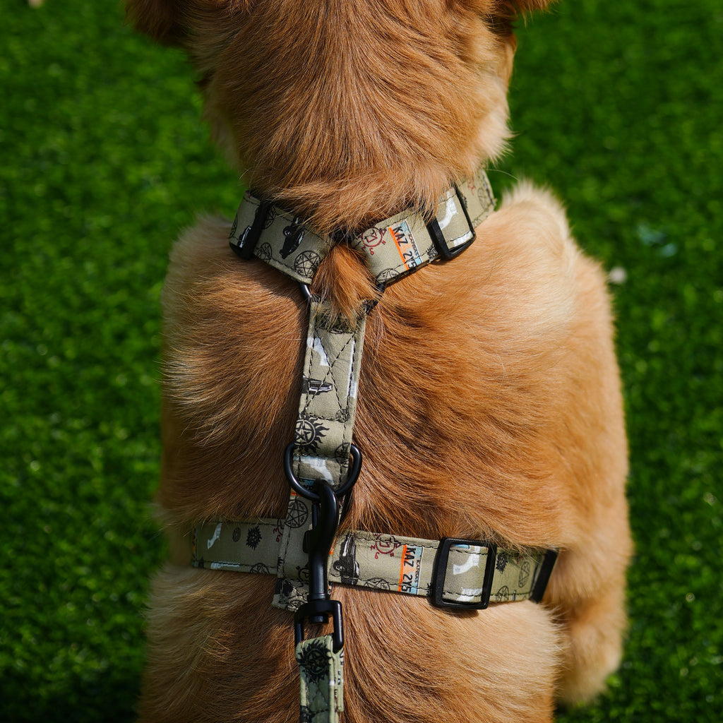 Dog wears 100% Cotton Adjustable No Pull Dog Harness Supernatura  back