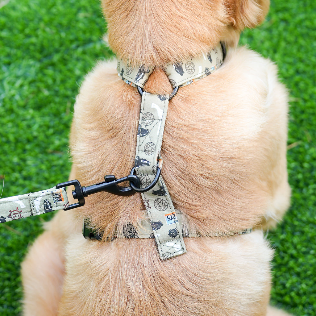 Dog wears 100% Cotton Adjustable No Pull Dog Harness Supernatural back