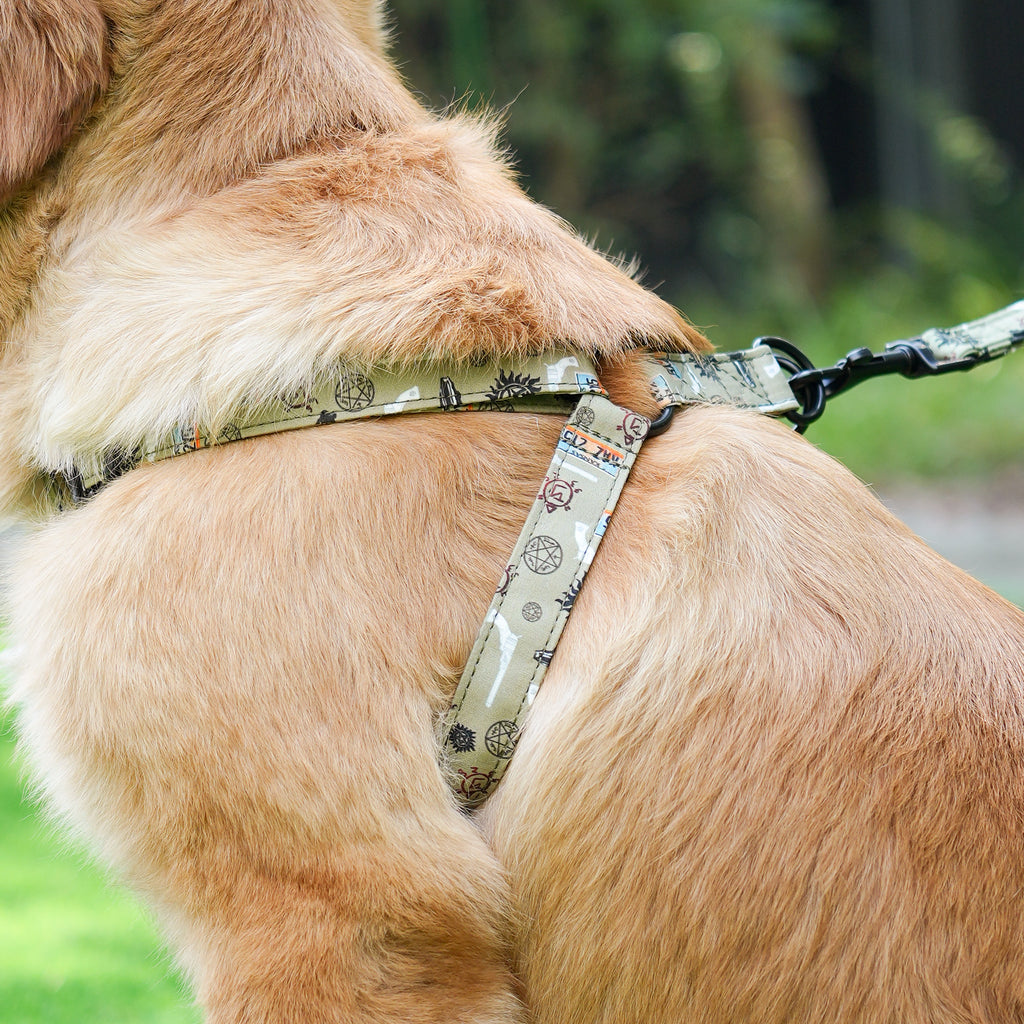 Dog wears 100% Cotton Adjustable Step In Dog Harness Black  Supernatural  side