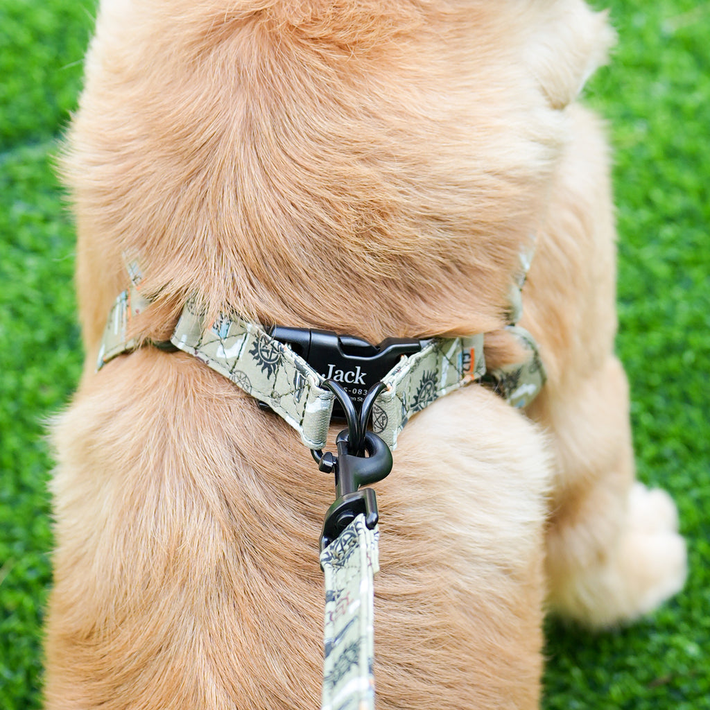 Dog wears 100% Cotton Adjustable Step In Dog Harness Black  Supernatural back