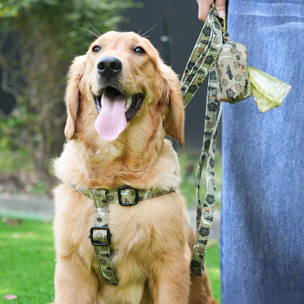 Dog wears 100% Cotton Adjustable Step In Dog Harness Black  Supernatural front-1