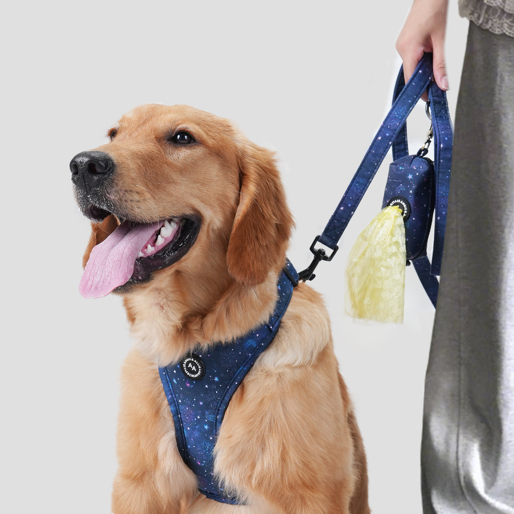 Dog wears 100% Cotton Adjustable No Pull Dog Harness Galaxy Stars front-1